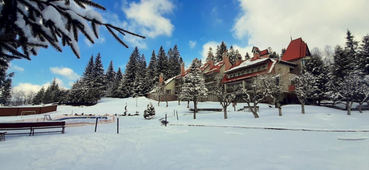 Hotel Perlyna Karpat à Slavsko Extérieur photo