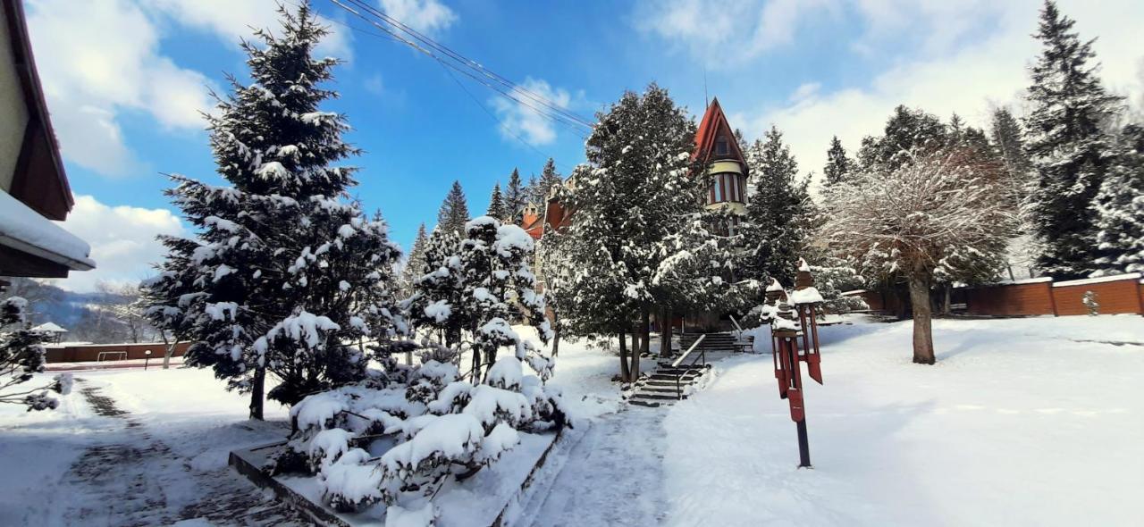 Hotel Perlyna Karpat à Slavsko Extérieur photo