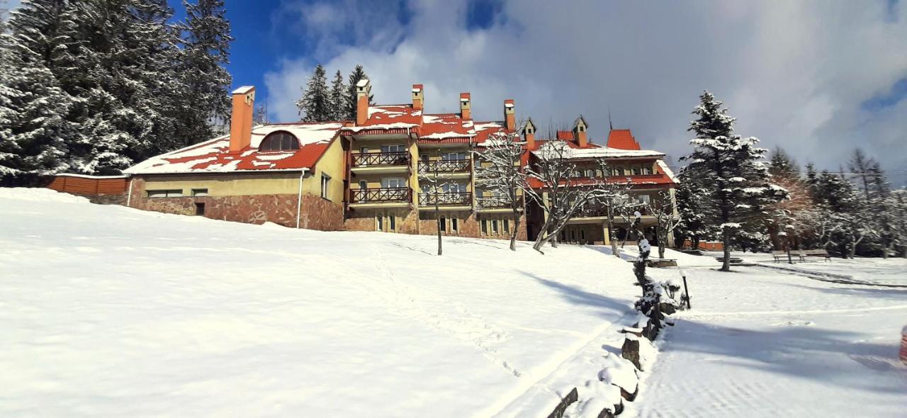 Hotel Perlyna Karpat à Slavsko Extérieur photo