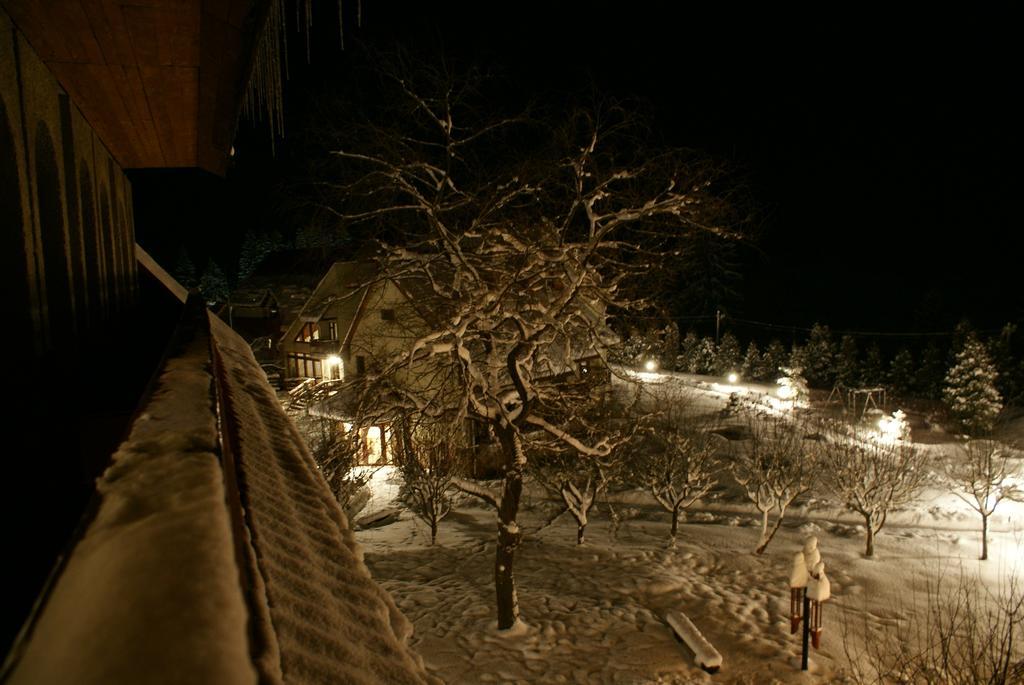 Hotel Perlyna Karpat à Slavsko Extérieur photo