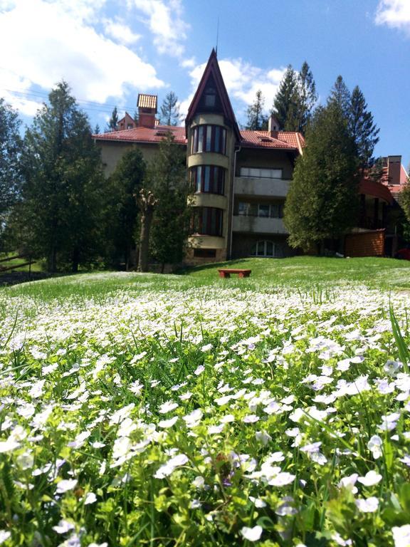 Hotel Perlyna Karpat à Slavsko Extérieur photo