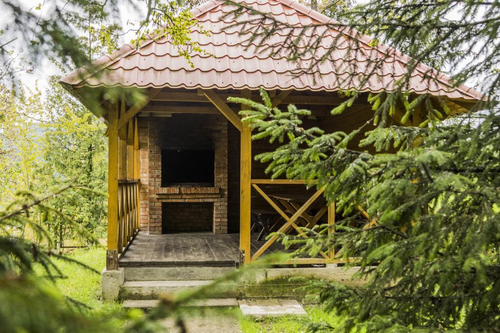 Hotel Perlyna Karpat à Slavsko Extérieur photo